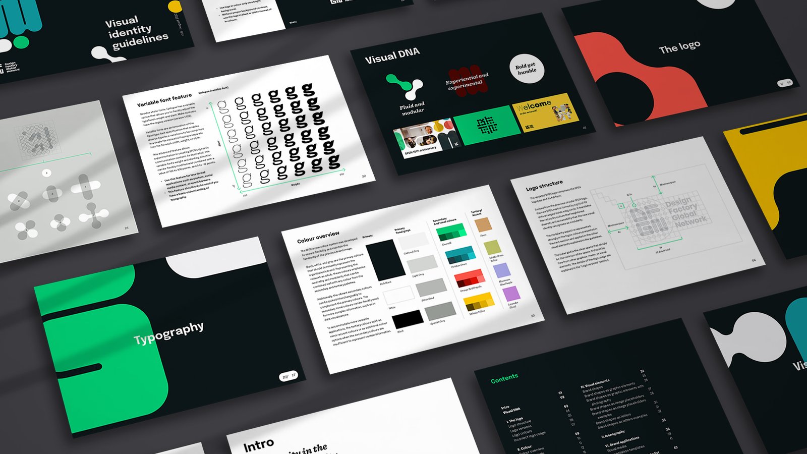 DFGN visual identity application