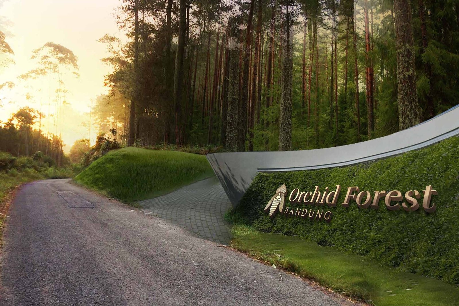 Orchid Forest brand environment