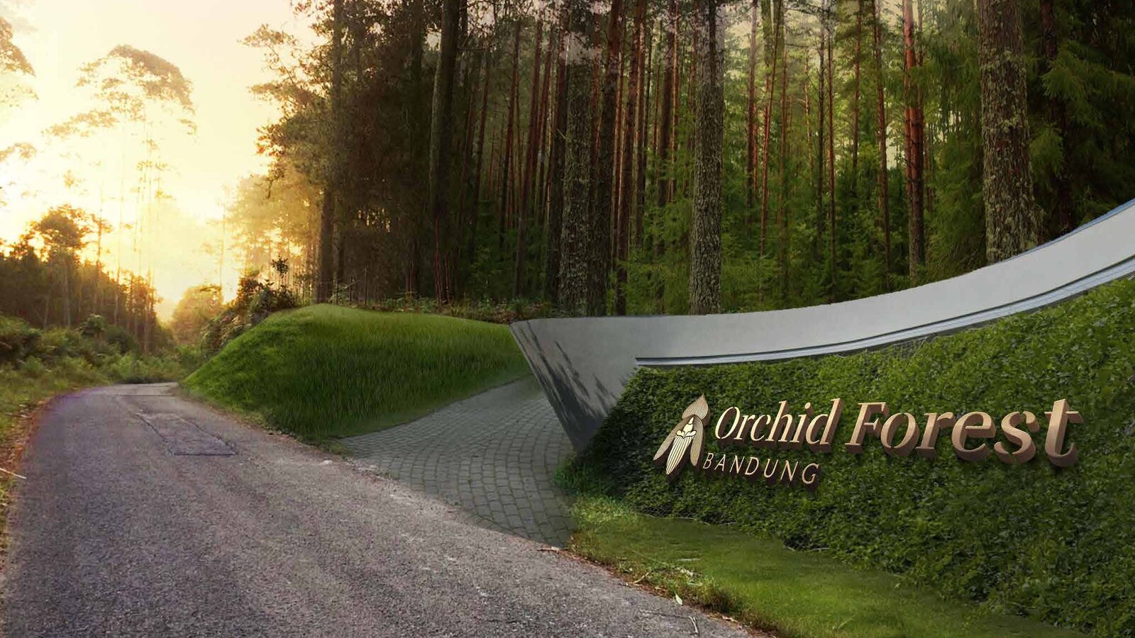 Orchid Forest